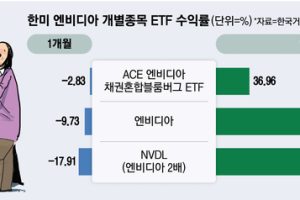 “갓비디아라더니 수익률이 왜 이래”…개별종목과 너무 다른 ETF 성적표